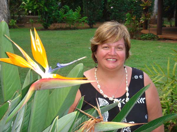 Robin & Bird of Paradise