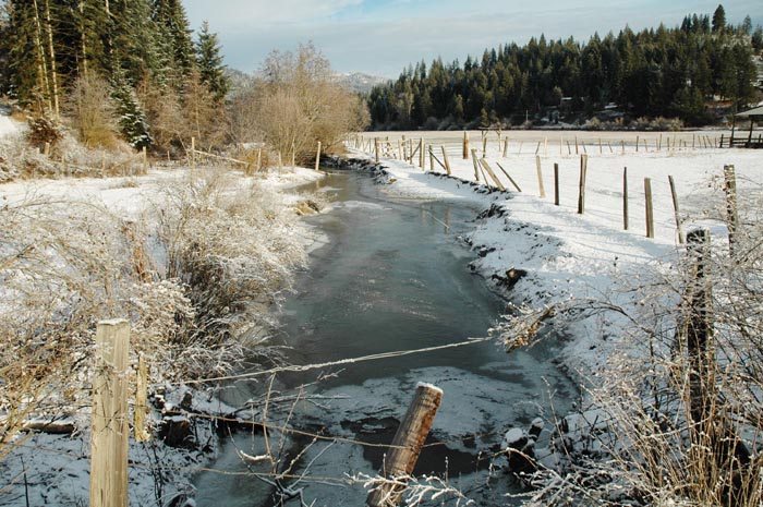Hauser Creek, Christmas 2009