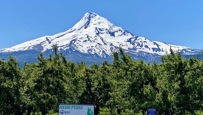 Mount Hood from Hood River Valley, 6/8/2024