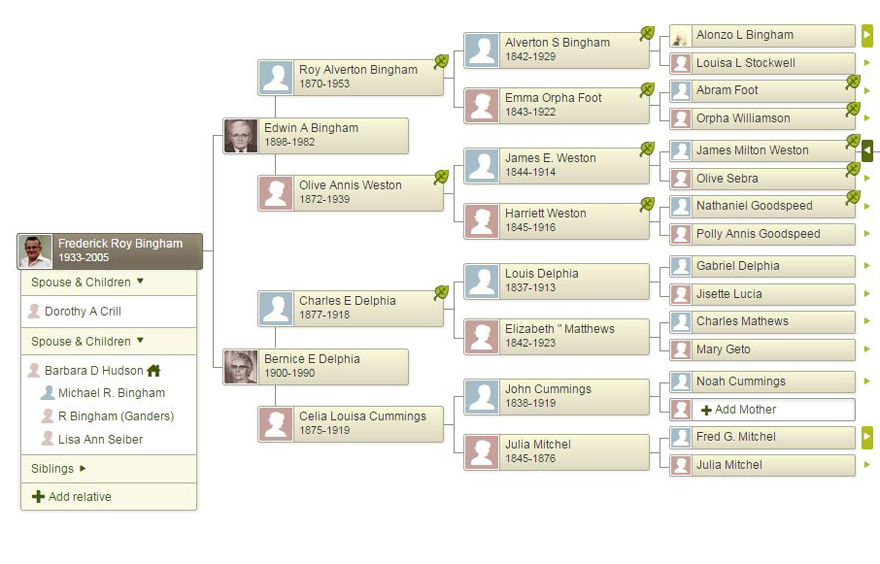 Bingham Family Tree