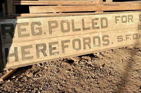 Polled Hereford Sign